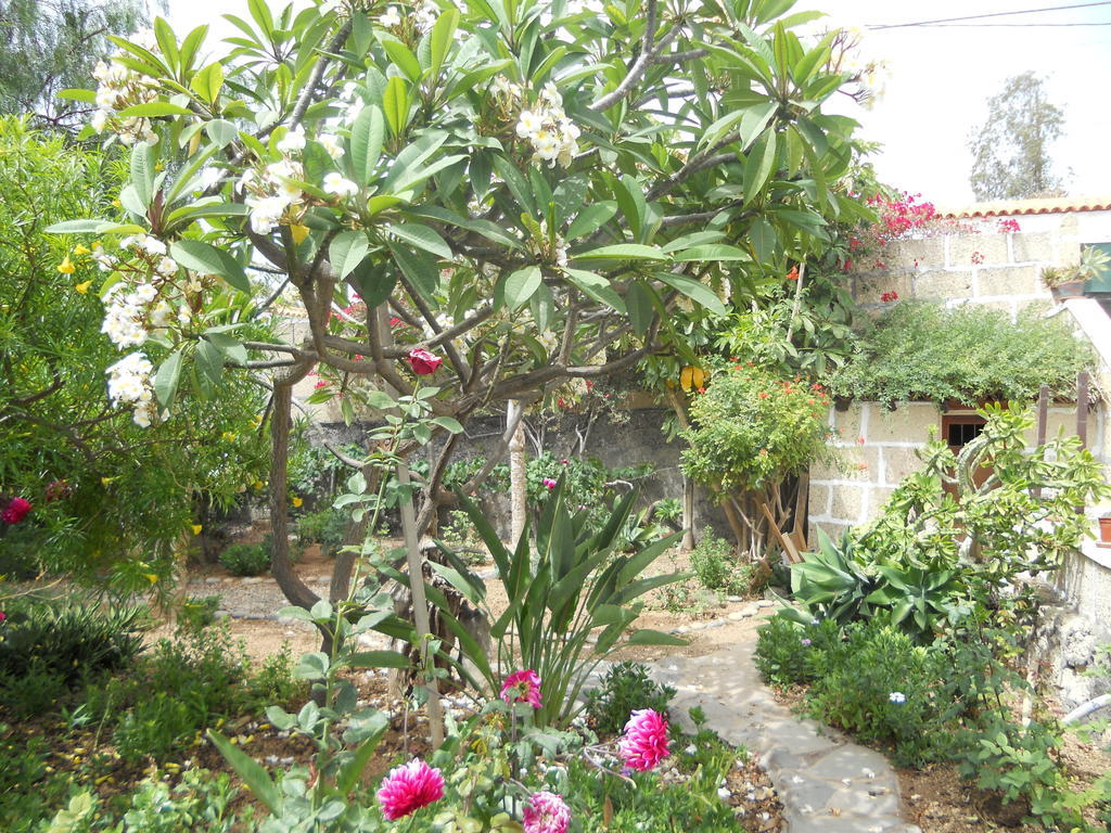 Casa Rural Anton Piche With Pool-Adults Only Granadilla De Abona Exterior photo